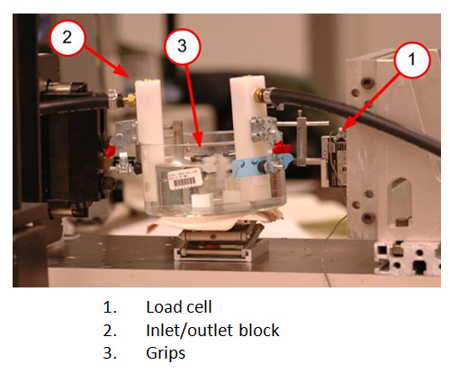 Collagen gel attached to load cell in water