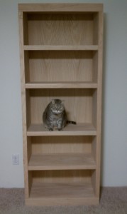 Finished bookshelf with no stain